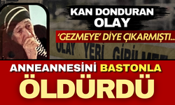 Kan donduran olay: Anneannesini gezmeye diye çıkarıp bastonla öldürdü!