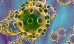 Nipah Virüsü Türkiye’de var mı? Nipah virüsü belirtileri neler?