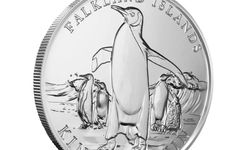 Penguin Coin nedir, güvenilir mi?