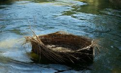 Sandığa konulup nehre bırakılan peygamber kimdir?