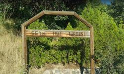 Ankara'daki bu türbenin manevi şifa vesilesi olduğuna inanılıyor