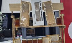 Çankırı Ilgaz balı Guinness’e girdi! Dünyanın en pahalı balı tescillendi