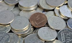 1 ve 5 kuruş tedavülden kalktı mı? DMM’den açıklama geldi