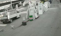 Köpekten kaçmaya çalışan öğrenciye belediye otobüsü çarptı!