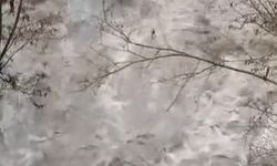 Ankara Çubuk’ta sağanak sele dönüştü: Yollar sular altında kaldı