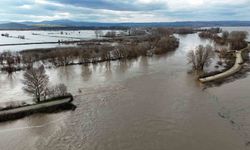 Edirne’de set yıkıldı! Yüzlerce dönüm tarla sular altında