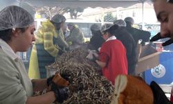 Soğuğa rağmen Beykoz sahili doldu taştı: Balık Festivali’ne yoğun ilgi