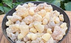 Geçmeyen öksürüğe doğal çözüm: Akgünlük sakızı önerisi