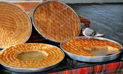 Bir tepsi baklavaya güvercin kondu