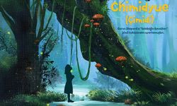 Çimidi ile çocuklar doğanın kalbine yolculuğa çıkıyor