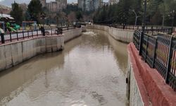 YAĞAN YAĞMUR VE ERİYEN KAR SULARI ÇUBUK ÇAYINI CANLANDIRDI