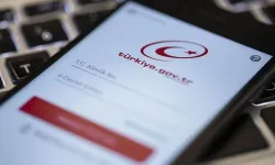 Mirasçıları da ilgilendiriyor! e-Devlet'te unutulan para sorgulama hizmeti açıldı