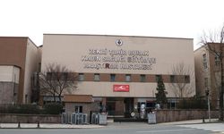 Epstein skandalı Türkiye’ye uzandı! Hastanelerdeki bebek kayıpları iddiaları yeniden gündemde