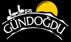 Gündoğdu Gıda'nın sahibi kim? Gündoğdu Gıda iflas mı etti?