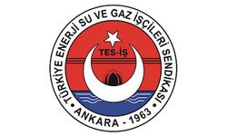 TES-İŞ üyelerine sosyal destek atağı: Kuaförden araç bakımına özel indirim protokolleri