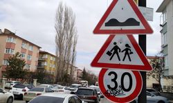 Okul sokağında öğrencilerin çıkış saatinde ağaç budama işlemi yapılır mı?