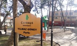 Ankara'daki "Yılmaz Güney Parkı" tartışması büyüyor: İYİ Parti'den isim değişikliği talebi