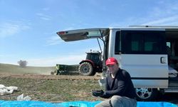 Beypazarı’nda çörek otu ekimi başladı: Çiftçiler yeni ürünle umutlu