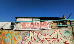 Başkent’te Nostalji Durağı: Samanpazarı Bitpazarı yoğun ilgi görüyor