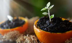 Ankara'da baharın ritmi kampüste tutuluyor: Sıfır Atık Günü sanat ve sporla kutlanacak!