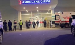 Tartıştığı eşini başından vurarak öldürdü!