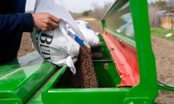 Ankara'da karabuğday seferberliği! 2026 Ekim çalışmaları resmen başladı