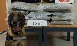 Ankara’ya Getiriliyordu: 12 Kilo Uyuşturucu Yakalandı