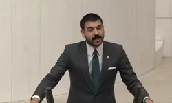 Ali Gökçek kimdir? Kaç yaşında, nereli? Alevi mi? Melih Gökçek ile akraba mı?