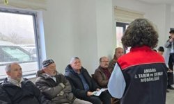 Tarımda Tehdit Büyüyor: Kahverengi Kokarca İçin Sahada Yoğun Mücadele