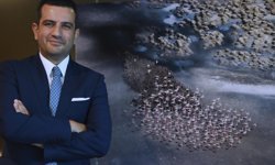 Ağaoğlu CEO’su  Burak Kutluğ kimdir? Kaç yaşında, nereli, ne iş yapıyor? Evli mi?