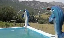 Turhal’da bir vatandaşın köyüne yaptığı havuz ve süs balıkları şaşırttı