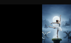 Kuğu gölü müzikali Ankara’da sahnelenecek: Minikler için masalsı yolculuk