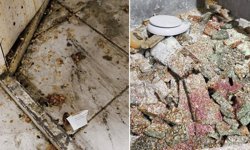 Hatay’da şok baskın: Evden kaçak lokum ve cezerye imalathanesi çıktı