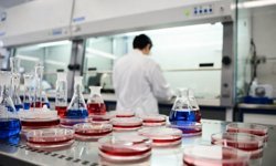 AYBÜ’de Hücre Kültürü ve QRT-PCR Eğitimi başlıyor!