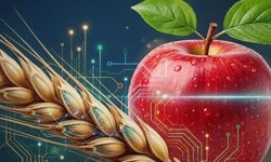 Ankara’da kırsal kalkınmaya 10 milyon TL’lik yeni destek hamlesi!