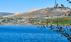 Ankara'da doğa yeniden canlanıyor: Kızılca Göleti suya kavuştu!