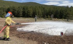 Ankara Çamkoru’da Ormancılar Kıyasıya Yarıştı