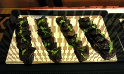 Türkiye Büyük Millet Meclisi’nde 23 Nisan Resepsiyonu: Geleneksel lezzetler öne çıktı