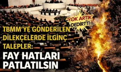 TBMM’ye gönderilen dilekçelerde ilginç talepler: Fay hatları patlatılsın, kapalı mayo getirilsin…