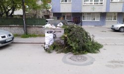 MART AYININ GELMESİ İLE ANKARA'DA AĞAÇ BUDAMA İŞLEMLERİ HIZLANDI