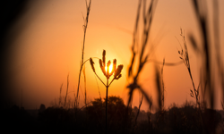Ankara’da türkü gecesi: “Türkü Deryamızdan” konseri sanatseverleri bekliyor