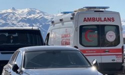 Hakkari’de gizemli patlama: Çoban yaralandı, koyunlar telef oldu!