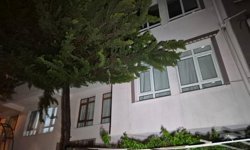 Ankara'da akıl almaz olay: İçin için yanan ağaç bir aileyi evinden etti!