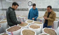 ABD-İran savaşı Gaziantep fıstık piyasasını vurdu! İhracat tamamen durdu