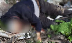 Düzce’de korkunç olay! Yaylada bulunan cesedin ensesinden vurulduğu ortaya çıktı