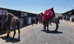 Pursaklar'da Kurban hazırlıkları tamam: Deve satışı ilk kez Ankara'da!