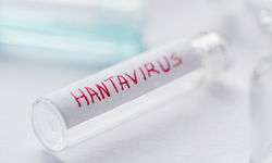 Hantavirüslü gemiden tahliye edilen 3 Türk vatandaşın test sonuçları belli oldu!
