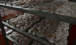 Bakan Gürlek duyurdu: Beyaz et sektöründe 32 gözaltı 13 şirkete kayyum atandı!