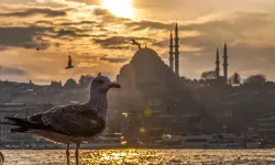 Meteoroloji’den yeni hafta uyarısı: O bölgelerde sıcaklıklar 40 dereceye dayanacak