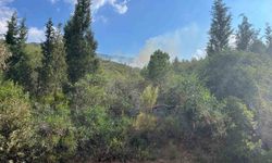 Marmaris'te yıldırım orman yangınına neden oldu